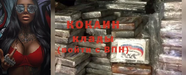 гидра Козловка