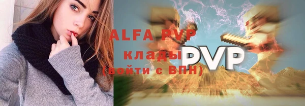 гидра Козловка