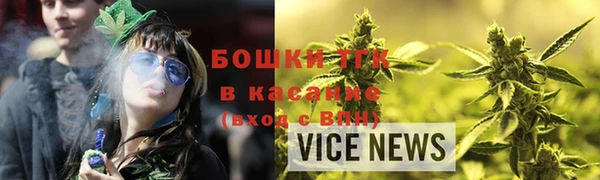 гидра Козловка