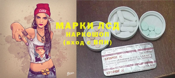 гидра Козловка