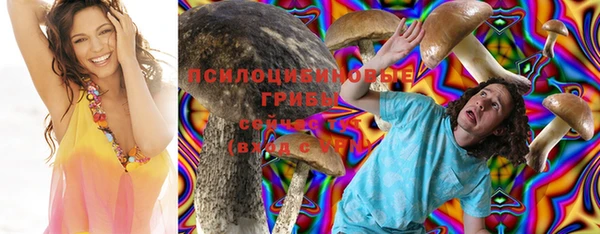гидра Козловка